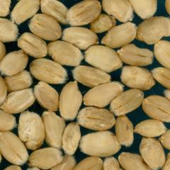 Kernels