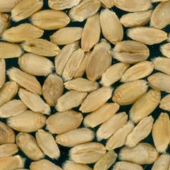 Kernels