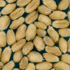 Kernels