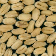 Kernels