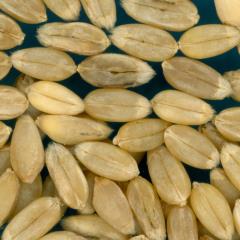 KERNELS
