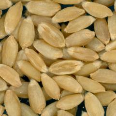KERNELS