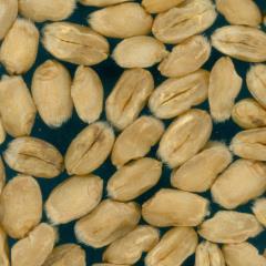 Kernels