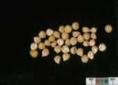 column KERNELS