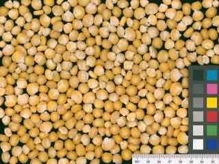 column KERNELS