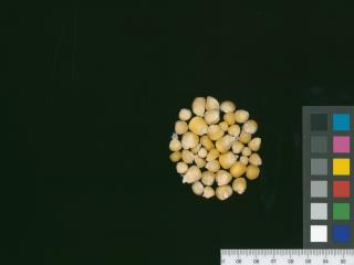 column KERNELS