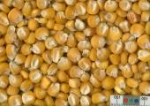column KERNELS