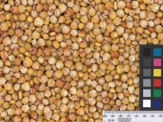 column KERNELS