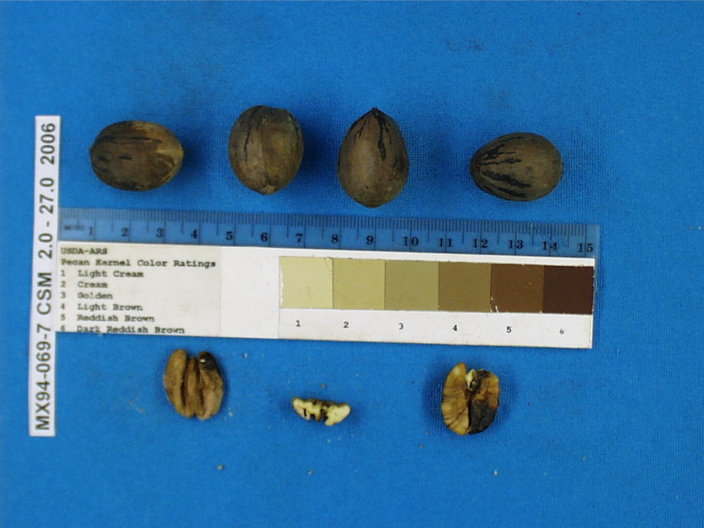 Click for 1 image(s) for this accession. Image