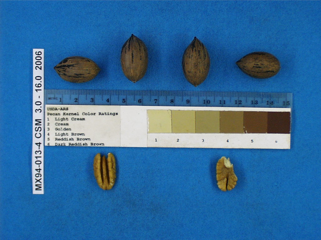 Click for 1 image(s) for this accession. Image