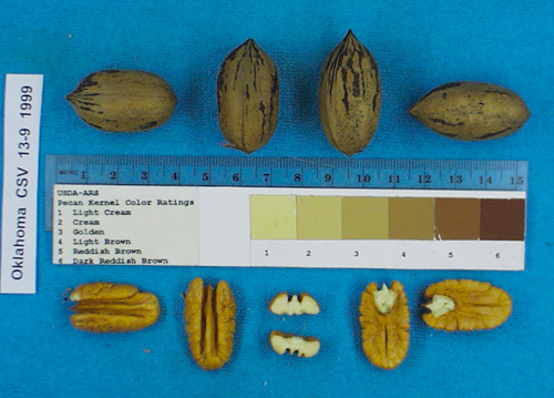 Click for 2 image(s) for this accession. Image