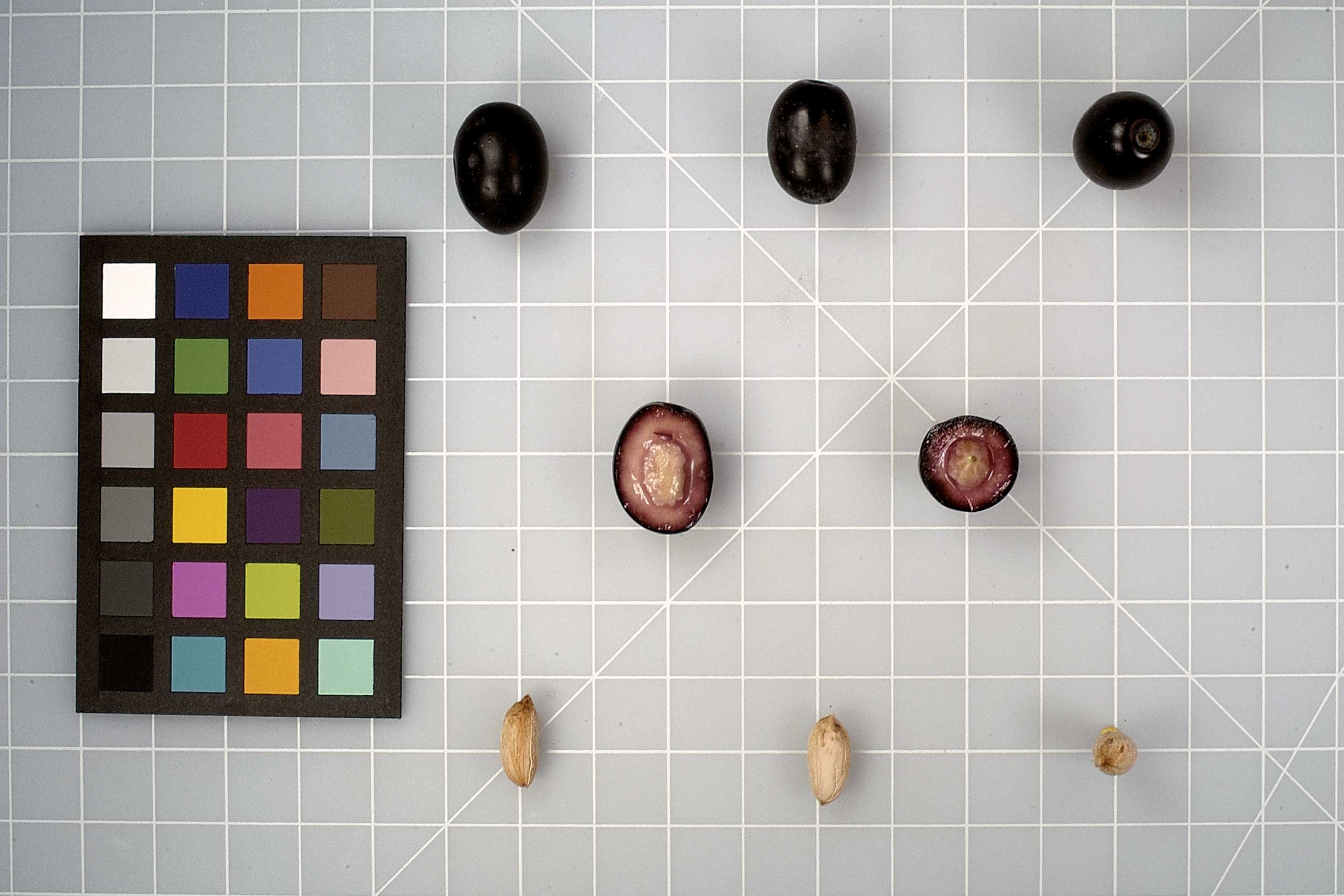 FRUIT