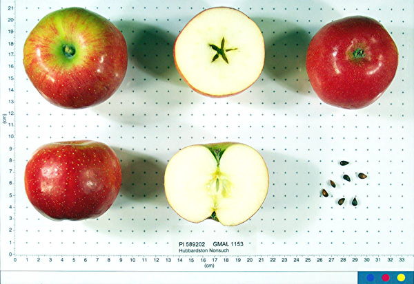 FRUIT