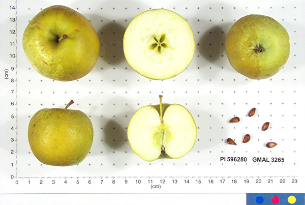 FRUIT