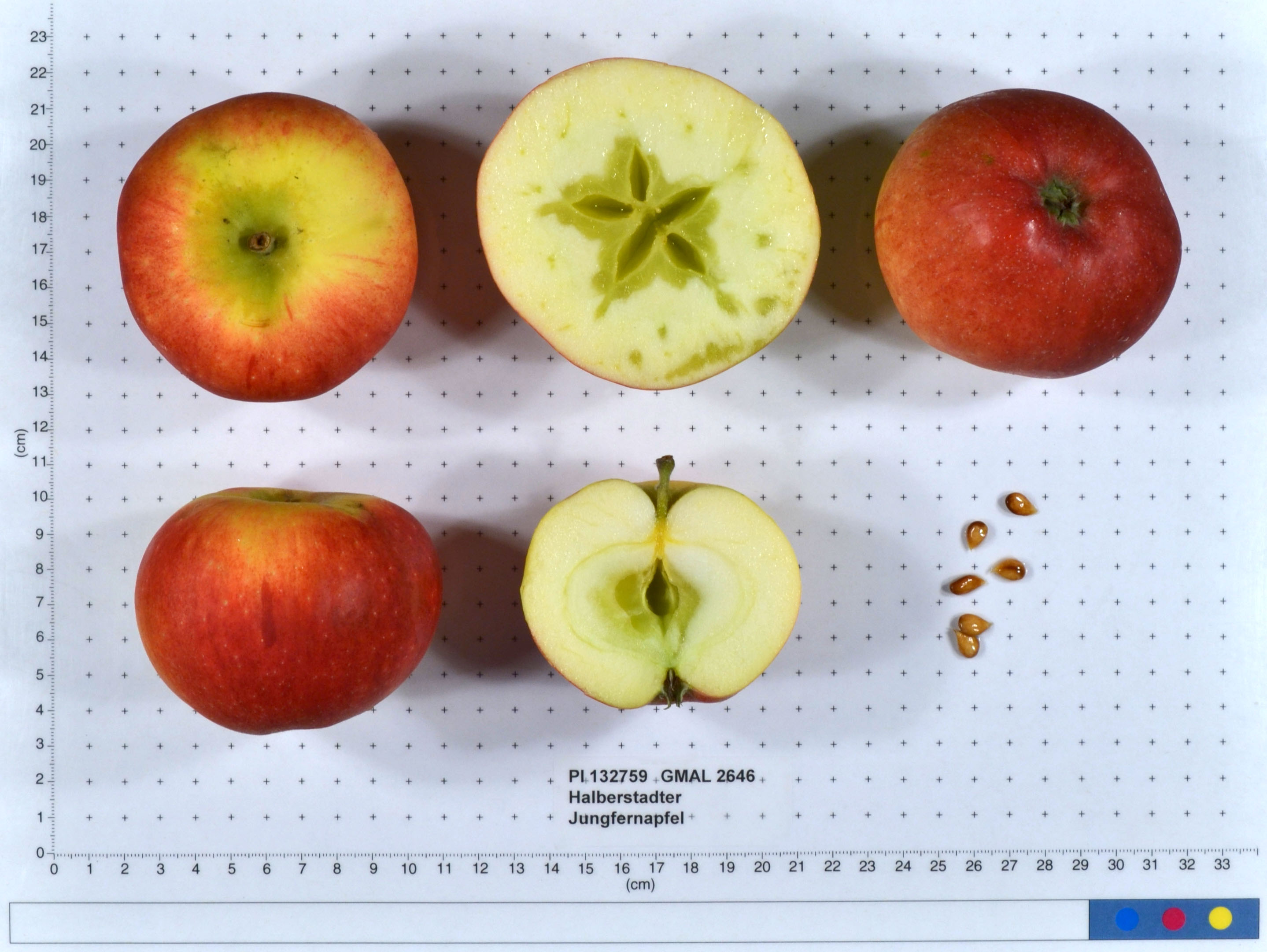 FRUIT