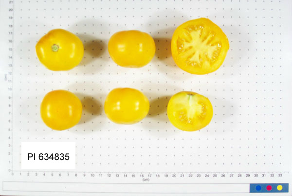 FRUIT
