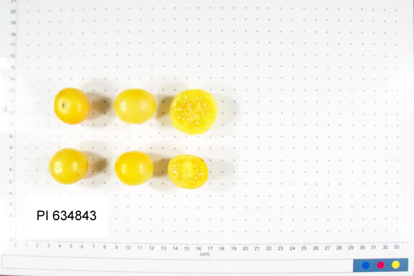 FRUIT