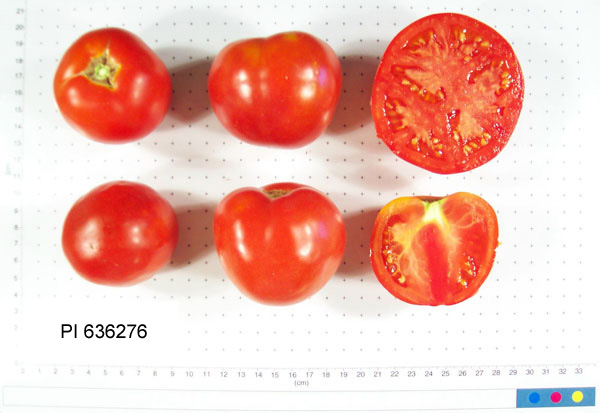 FRUIT