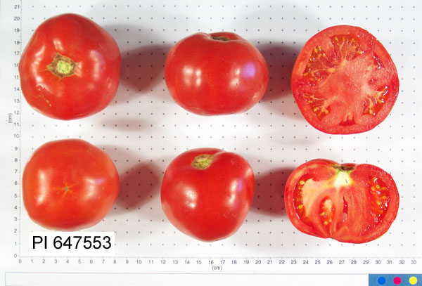 FRUIT