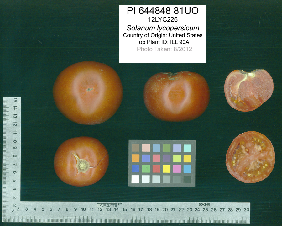Click for 2 image(s) for this accession. FRUIT