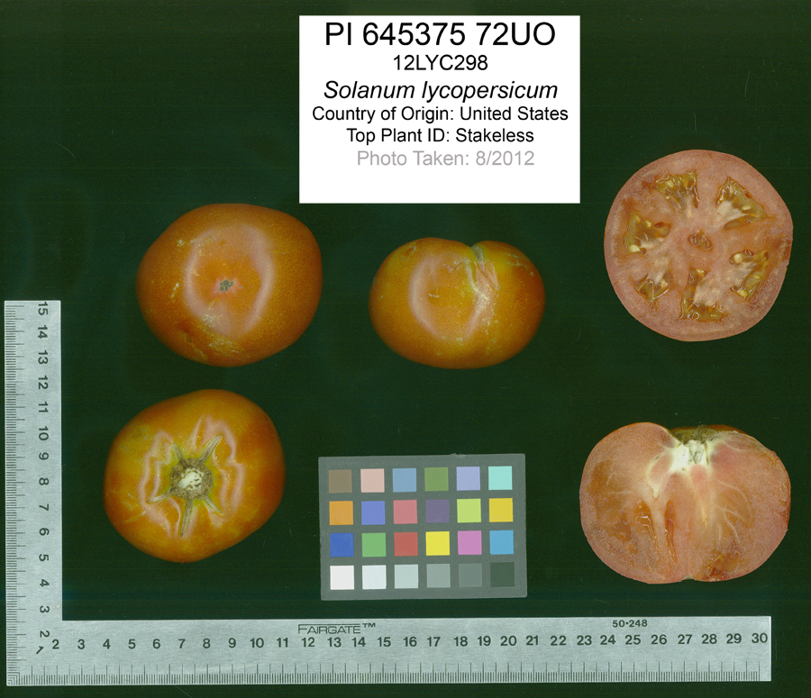 Click for 2 image(s) for this accession. FRUIT