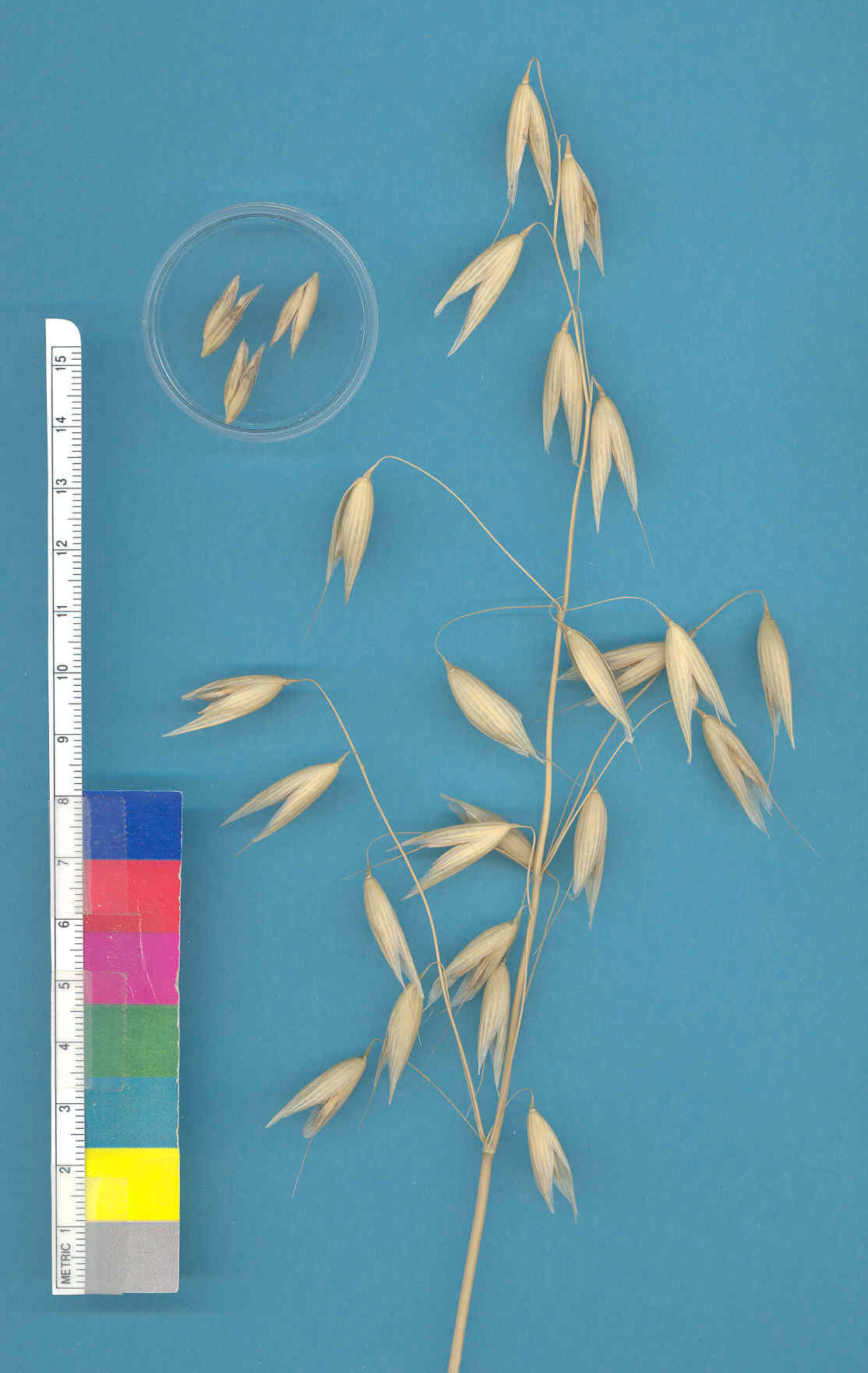 KERNELS