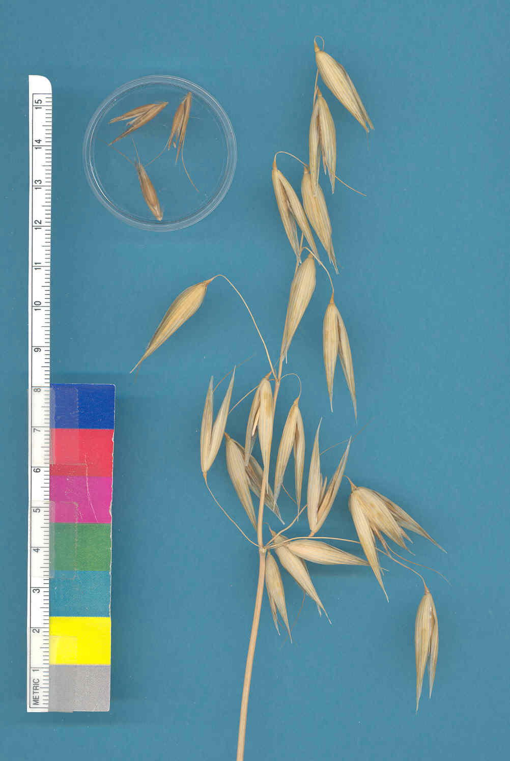 KERNELS