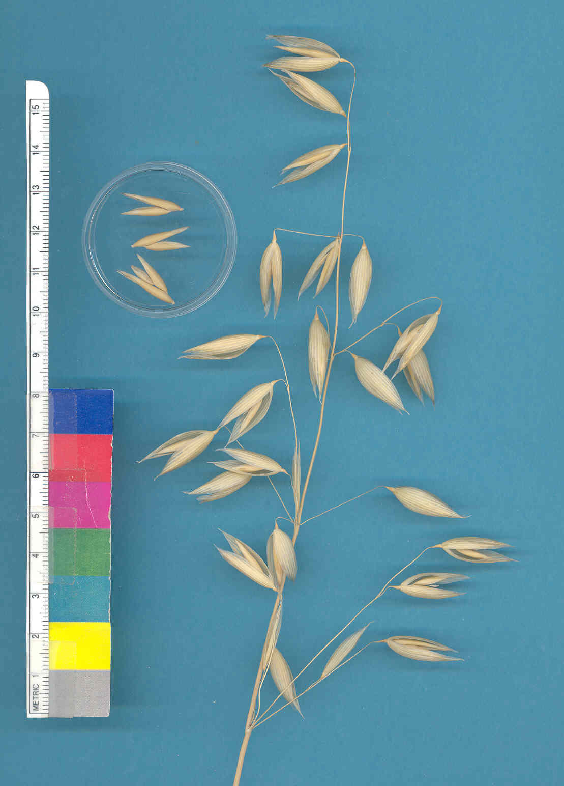 KERNELS