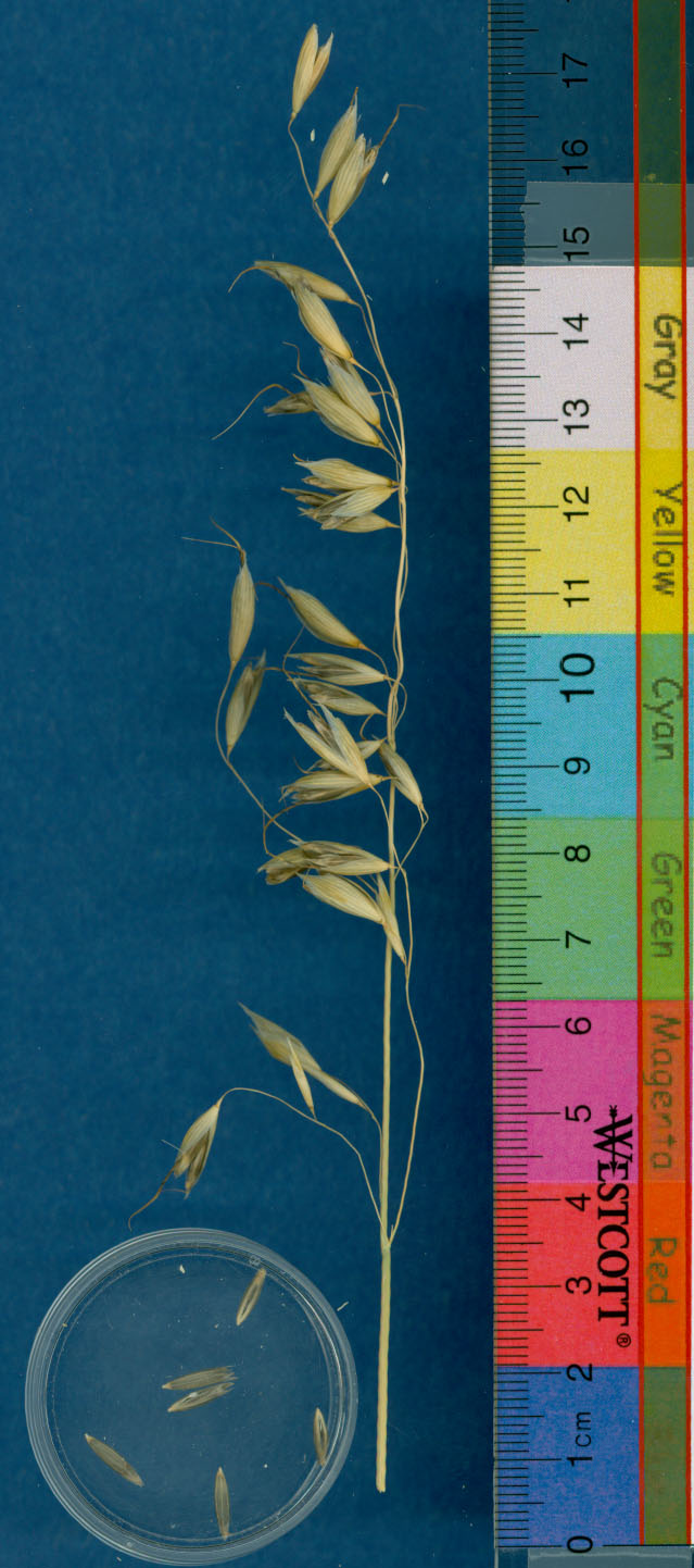 KERNELS