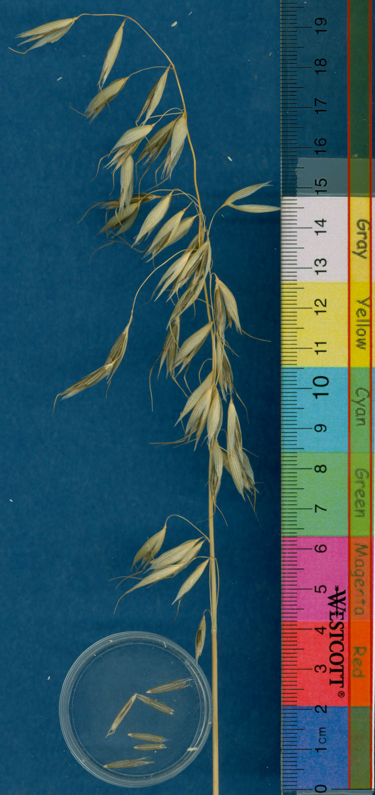 KERNELS