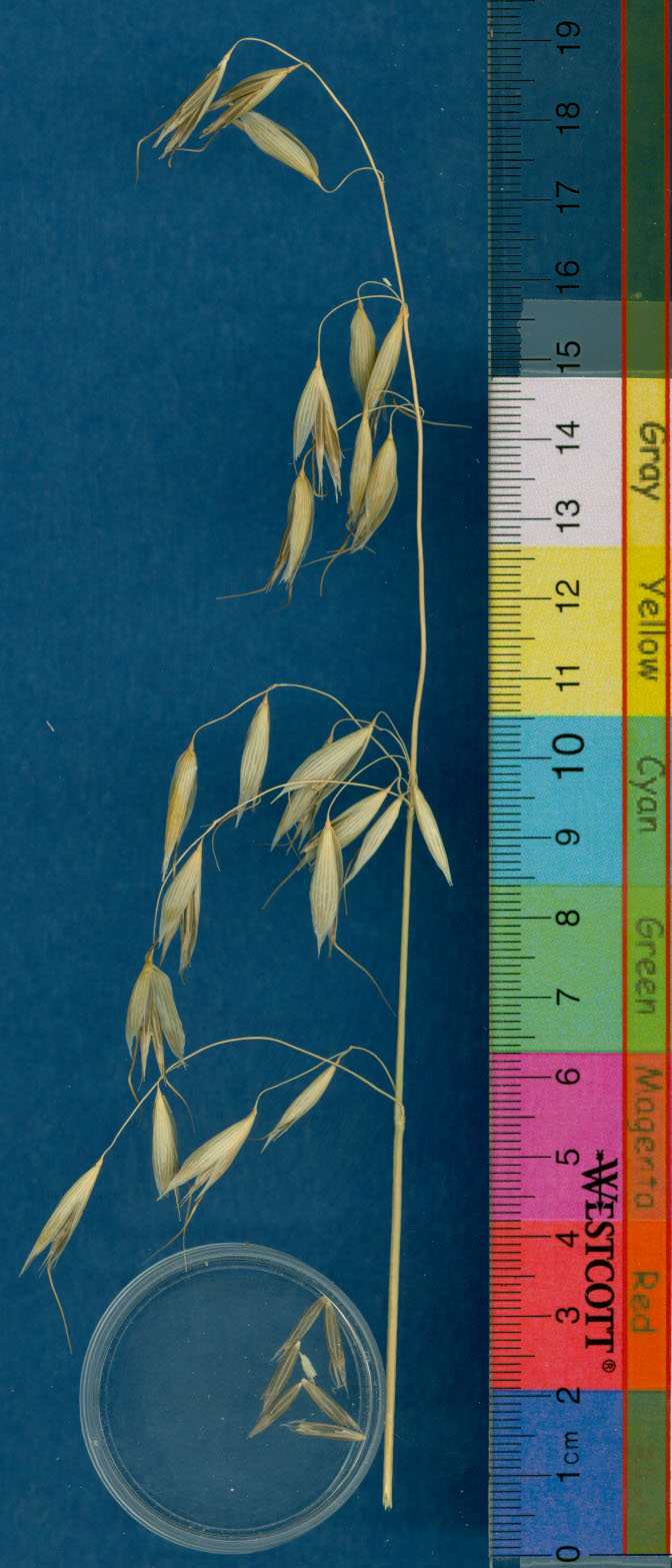 KERNELS