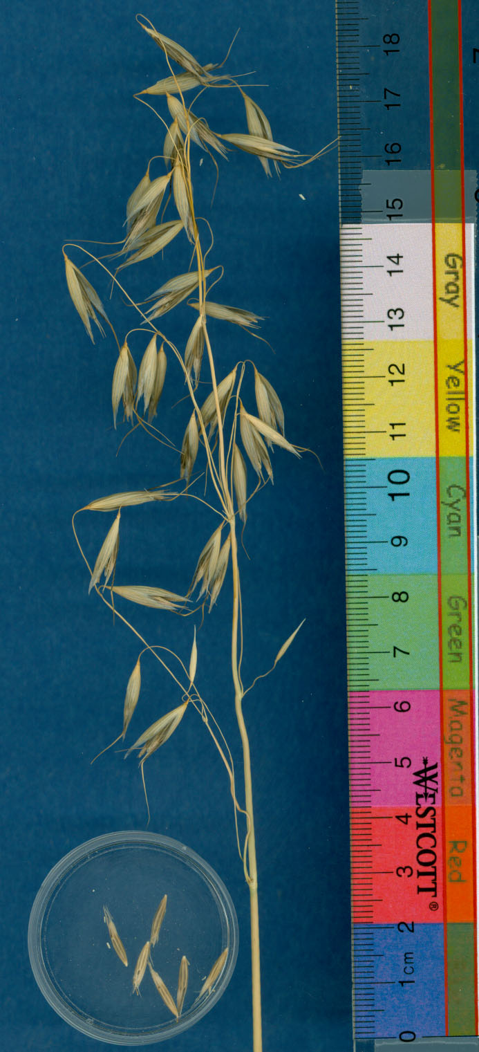 KERNELS