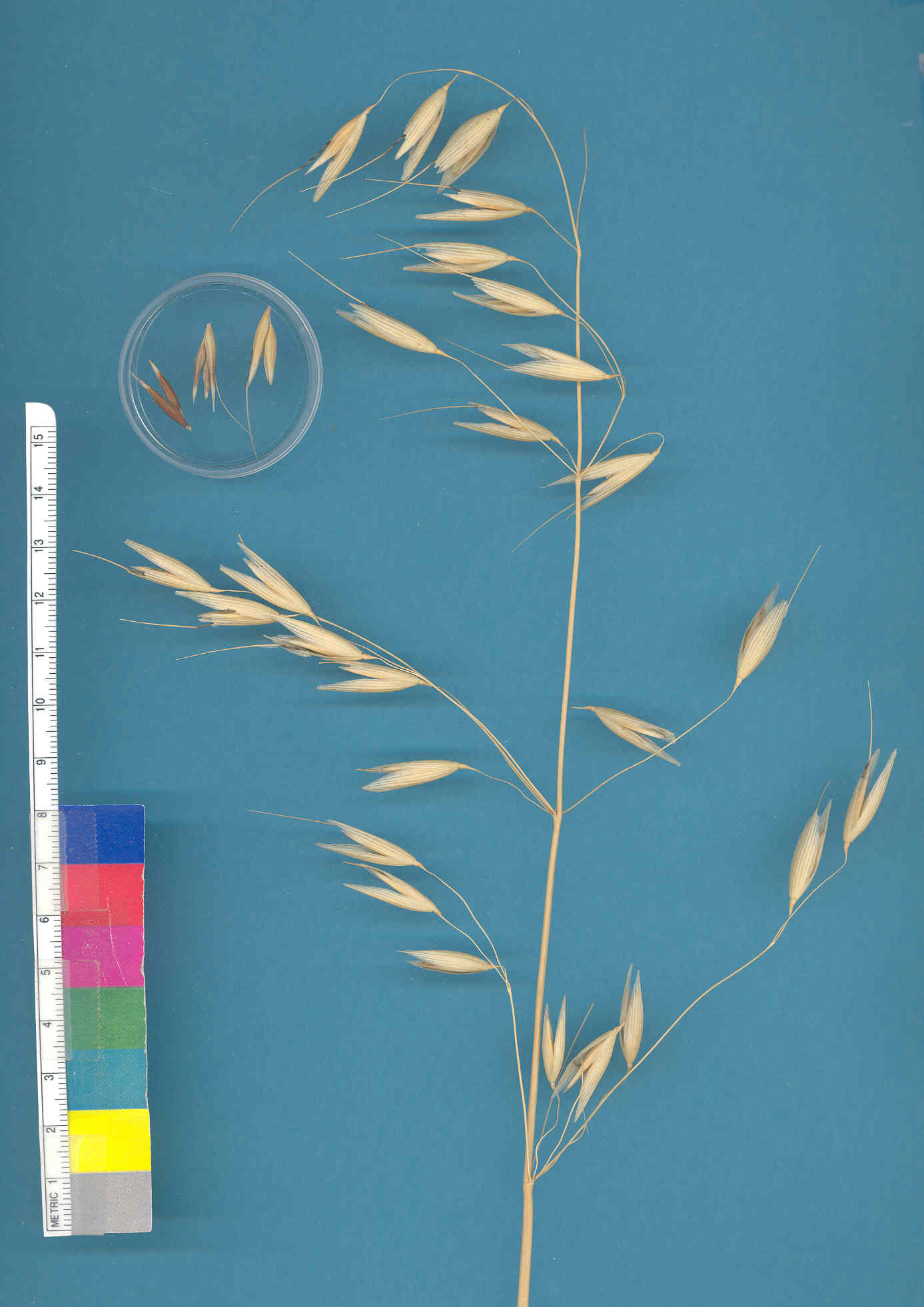 KERNELS