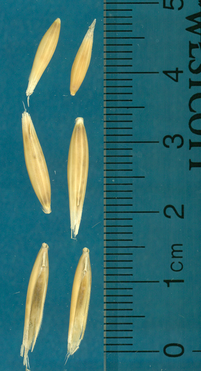 KERNELS
