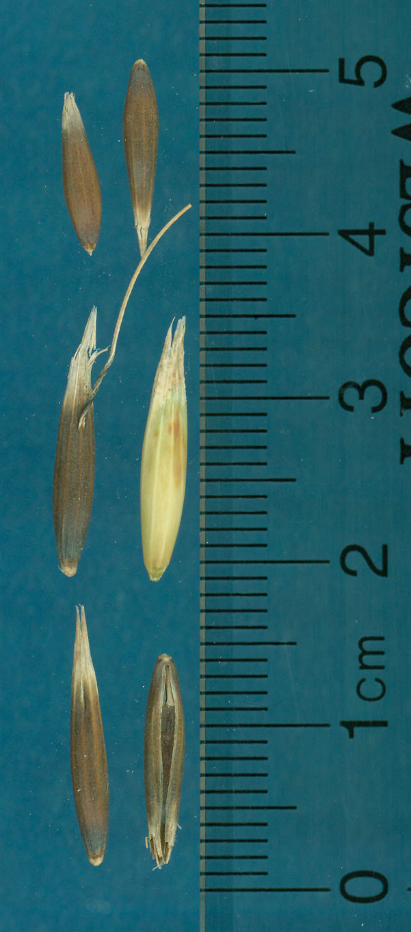 KERNELS