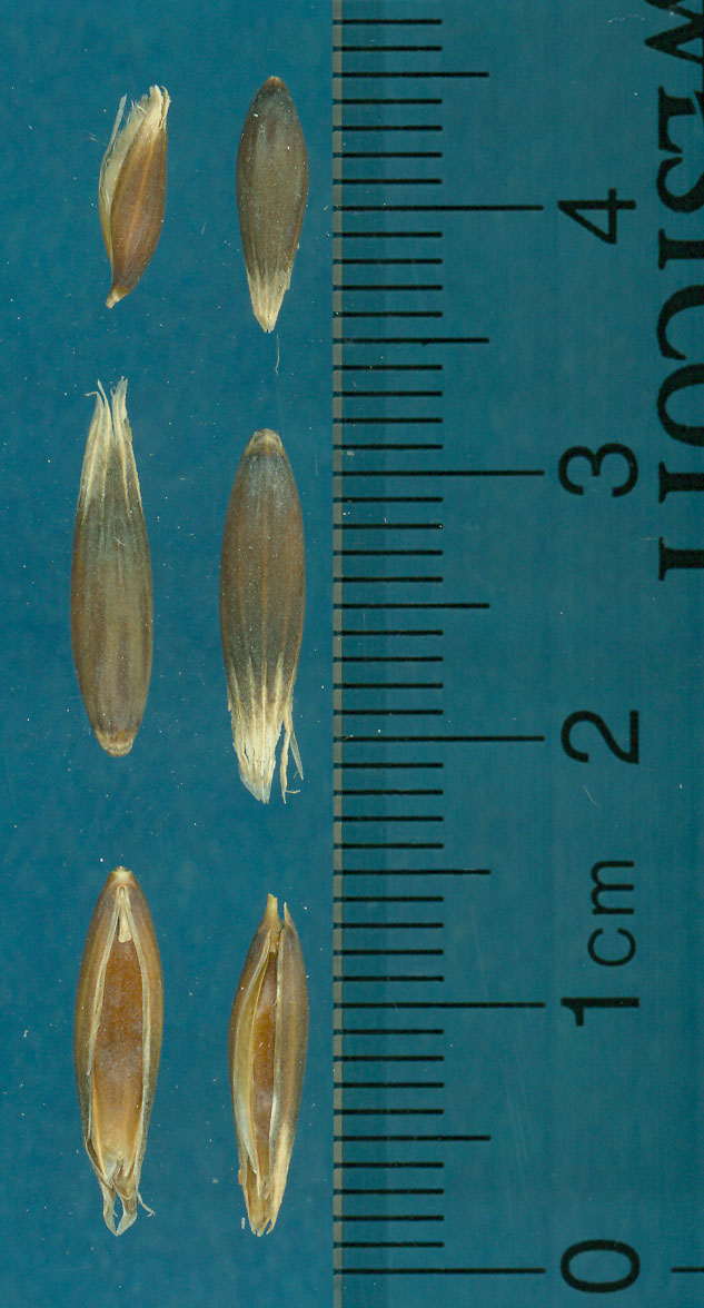 KERNELS