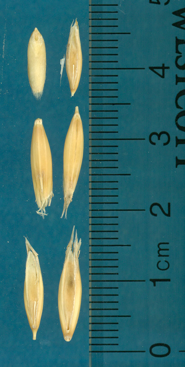 KERNELS