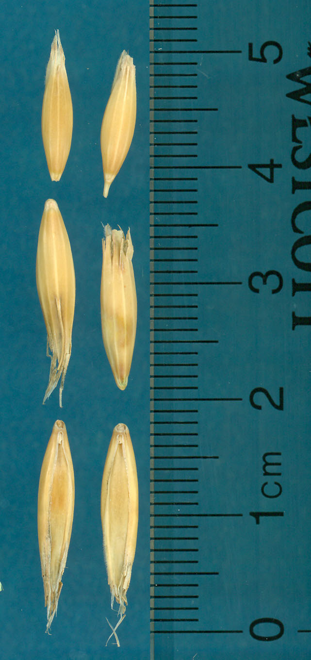 KERNELS