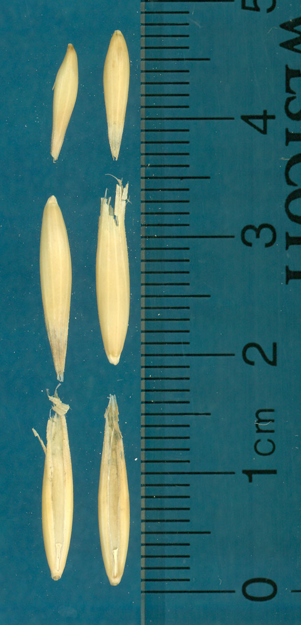 KERNELS