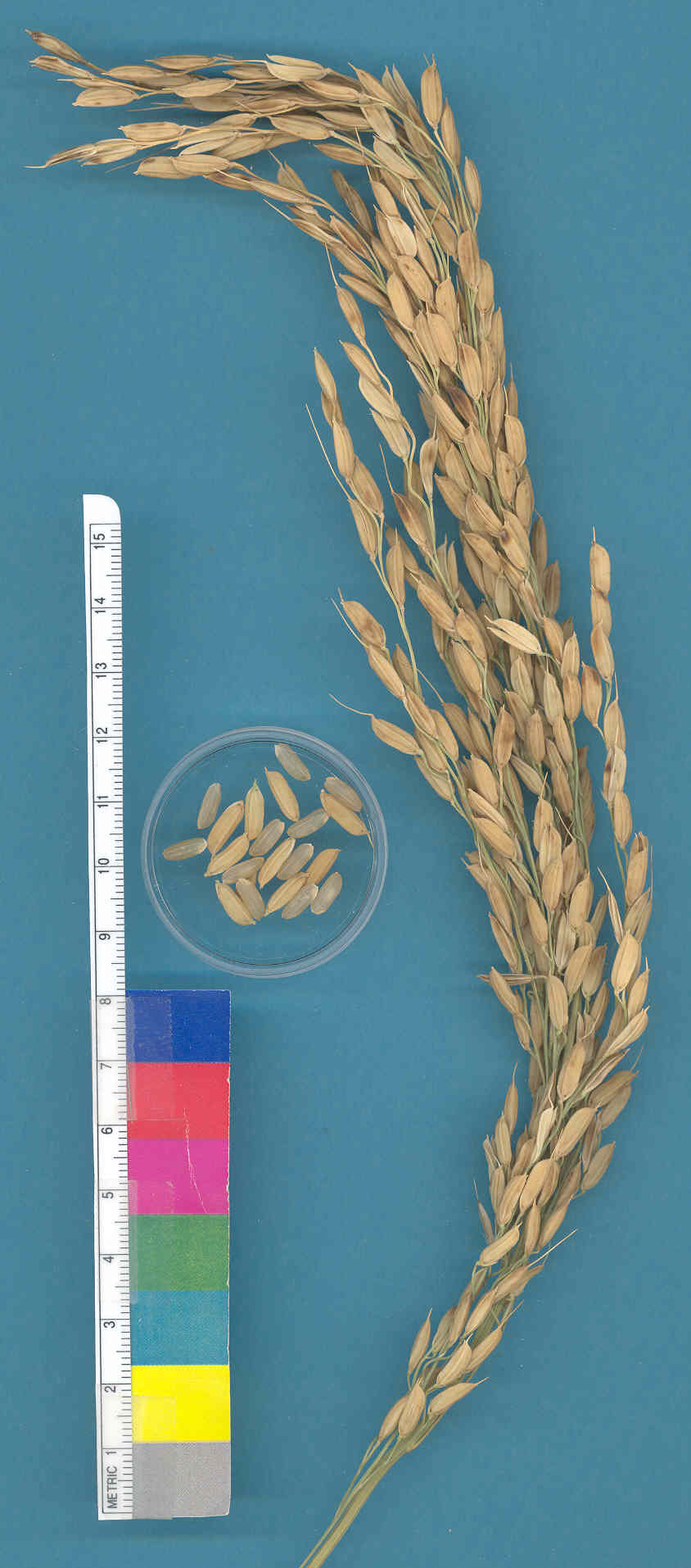 KERNELS