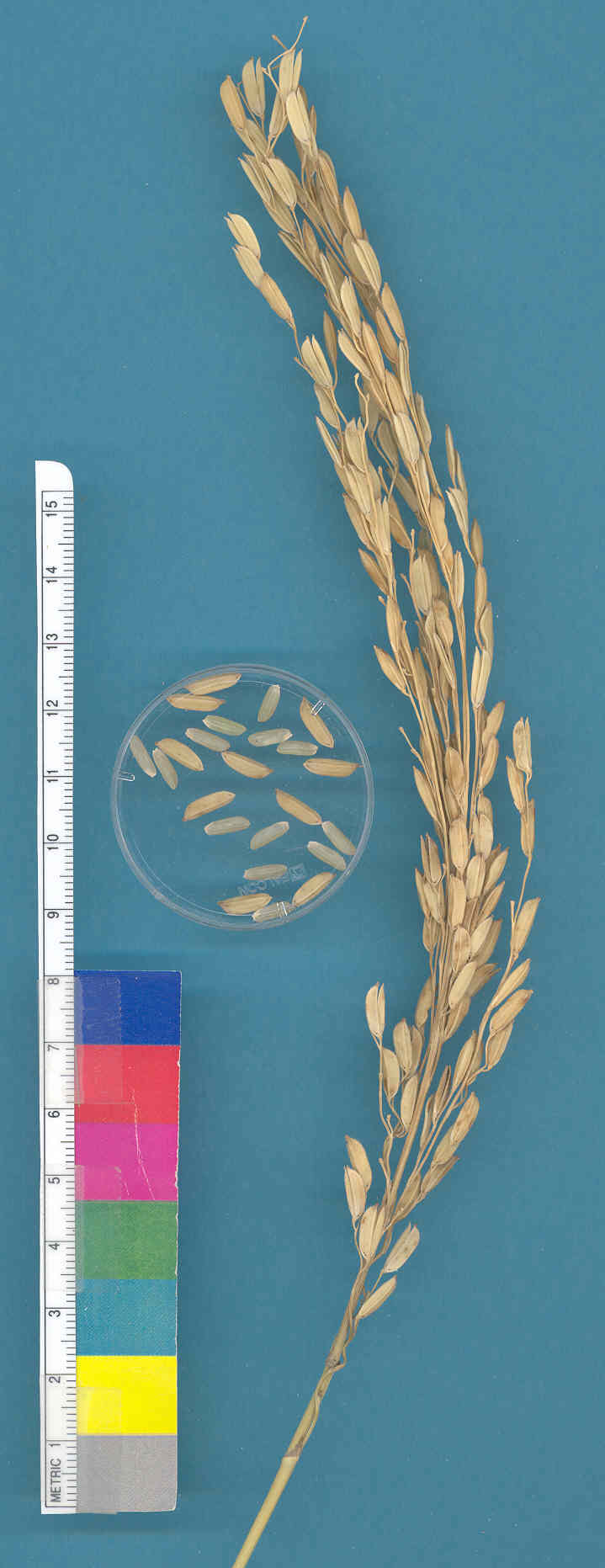KERNELS