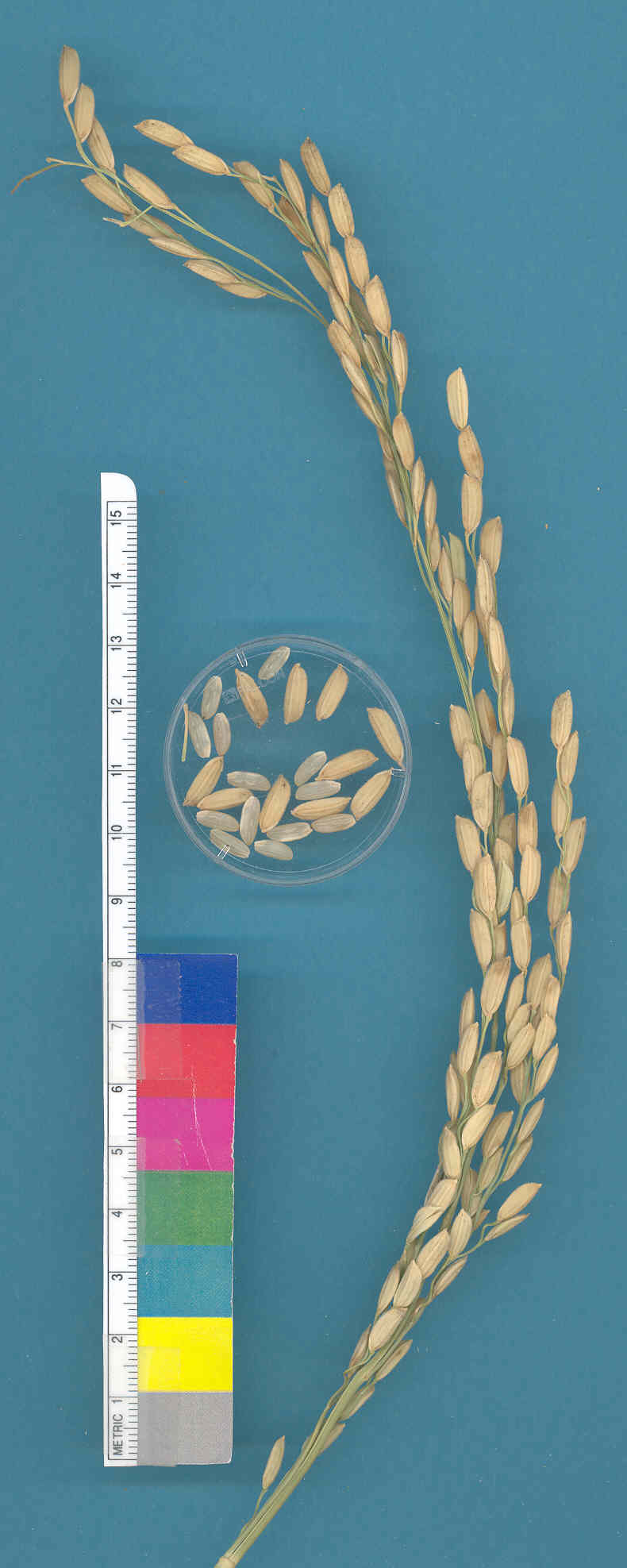 KERNELS