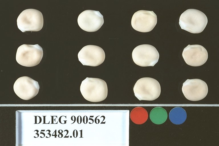 SEED