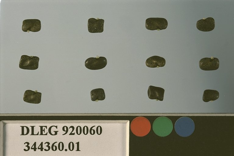 SEED