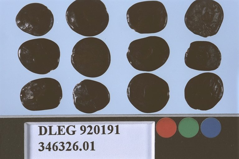 SEED