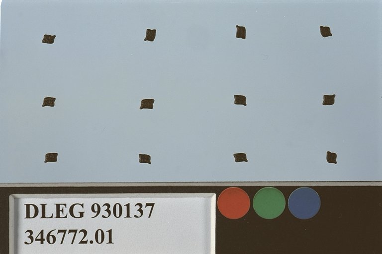 SEED