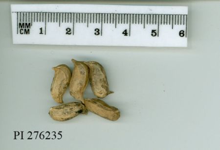 POD