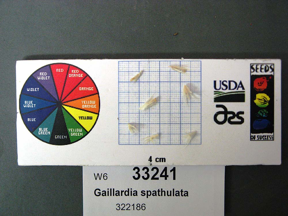 SEED