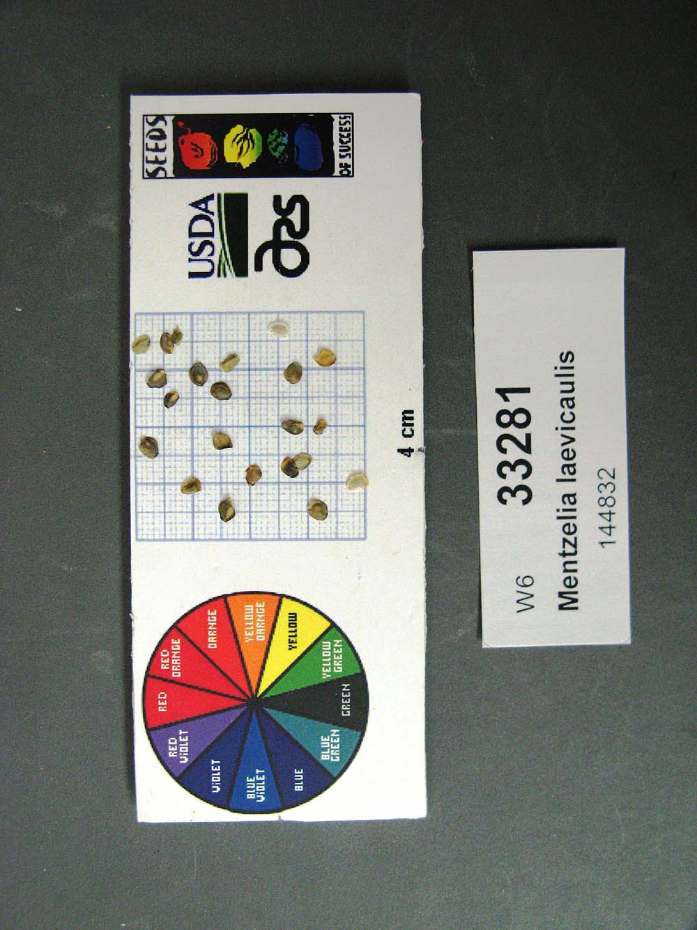 SEED