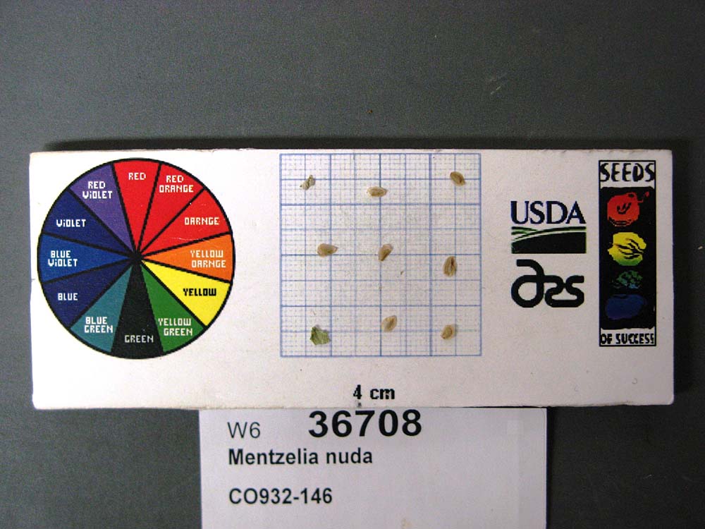 SEED
